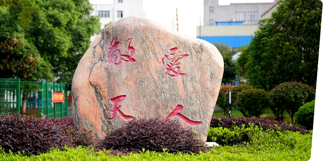 我们的核心价值观